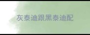灰泰迪跟黑泰迪配