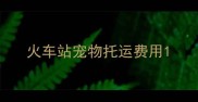 火车站宠物托运费用