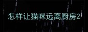 怎样让猫咪远离厨房