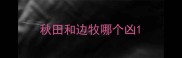 秋田和边牧哪个凶