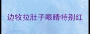 边牧拉肚子眼睛特别红