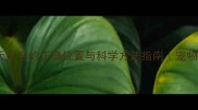 金毛夏天剃毛的正确位置与科学方法指南宠物护理干货
