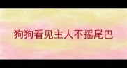 狗狗看见主人不摇尾巴