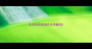 写边牧的英语作文带翻译