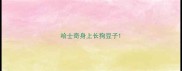 哈士奇身上长狗豆子