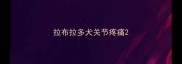 拉布拉多犬关节疼痛