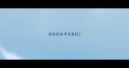 拉布拉多犬毛变红
