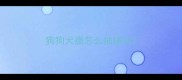 狗狗犬瘟怎么抽搐的