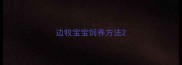 边牧宝宝饲养方法