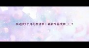 泰迪犬1个月花费清单最新饲养成本