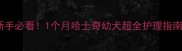 新手必看1个月哈士奇幼犬超全护理指南