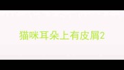 猫咪耳朵上有皮屑