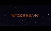 狗打完疫苗狗是几个月