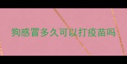 狗感冒多久可以打疫苗吗