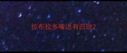 拉布拉多嘴边有白斑