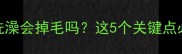 泰迪发情期洗澡会掉毛吗这5个关键点必须知道