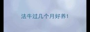 法牛过几个月好养