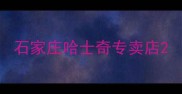 石家庄哈士奇专卖店