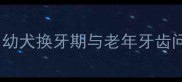 拉布拉多掉牙怎么办幼犬换牙期与老年牙齿问题全附护理指南