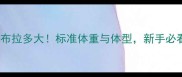 4个月公拉布拉多大标准体重与体型新手必看养宠指南