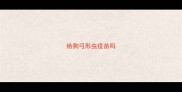 给狗弓形虫疫苗吗