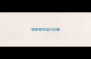 搬家宠物如何处理
