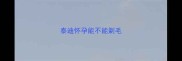 泰迪怀孕能不能剃毛