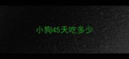小狗45天吃多少