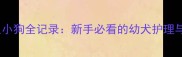 母狗生九只小狗全记录新手必看的幼犬护理与喂养指南