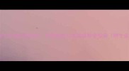 狗狗体内有寄生虫能打疫苗吗科学驱虫与疫苗接种全指南附专业护理方案