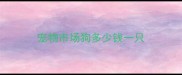 宠物市场狗多少钱一只