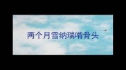 两个月雪纳瑞啃骨头