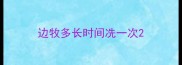 边牧多长时间冼一次