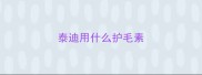 泰迪用什么护毛素