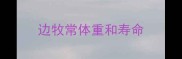 边牧常体重和寿命