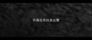 许昌拉布拉多出售