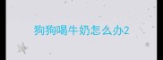 狗狗喝牛奶怎么办