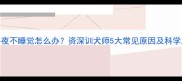 哈士奇半夜不睡觉怎么办资深训犬师5大常见原因及科学应对方案