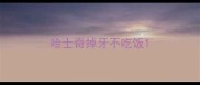 哈士奇掉牙不吃饭
