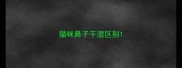 猫咪鼻子干湿区别