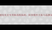 边境牧羊犬专用粮选购指南科学喂养方案与品牌深度