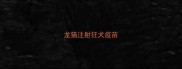 龙猫注射狂犬疫苗