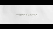 2个月狗狗可以吃什么