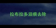 拉布拉多泪痕去除