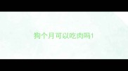 狗个月可以吃肉吗