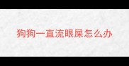 狗狗一直流眼屎怎么办