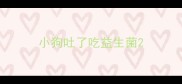 小狗吐了吃益生菌