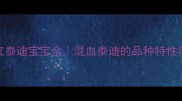 白泰迪和红泰迪宝宝全混血泰迪的品种特性与养护指南