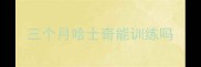 三个月哈士奇能训练吗