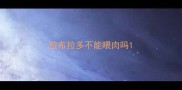 拉布拉多不能喂肉吗